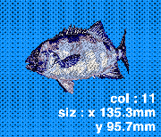 014 イシ鯛(成魚−跳)