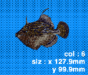 016 カワハギ(横)