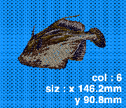 017 カワハギ (斜)