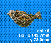 029 ヒラメ(捕食)